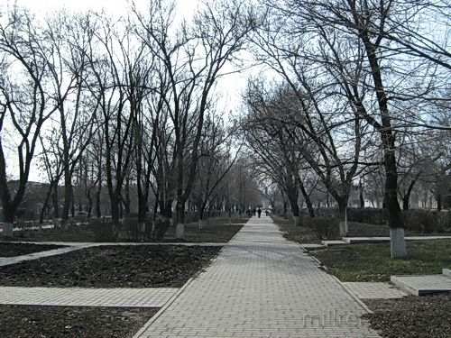 Парк по ул. 3 Интернационала г. Миллерово