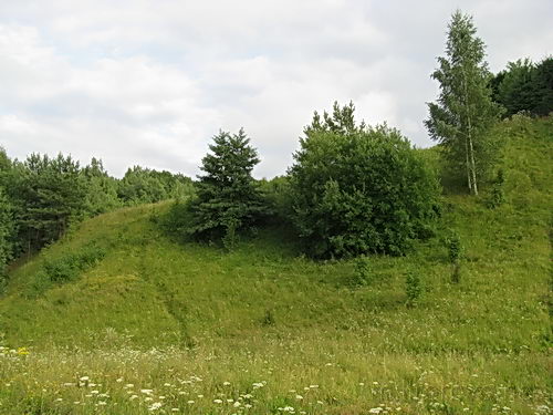 Фотоотчет о поездке в Рязанскую губернию